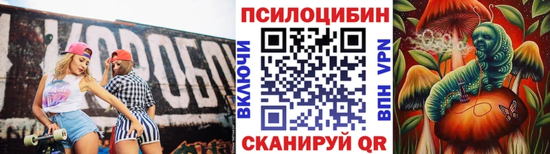 Галлюциногенные грибы прущие грибы  как найти   Ревда 