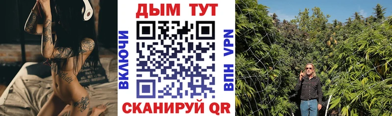 где купить наркотик  Ревда  Канабис Amnesia 